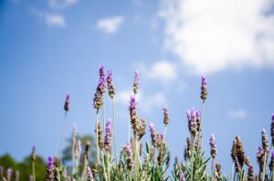 G50c15fad757fdfdf76b43a4e65d882d18d1c12190f099a860d4ed7cf2e409d54096fd71f7e6558f34546f1c75c31ceefe72e334435b26dd658135dd83ba59cb8 640