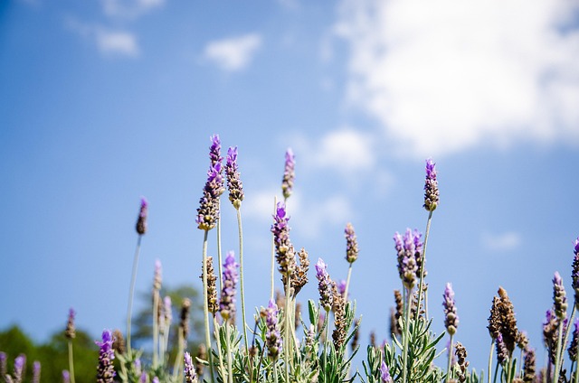 G50c15fad757fdfdf76b43a4e65d882d18d1c12190f099a860d4ed7cf2e409d54096fd71f7e6558f34546f1c75c31ceefe72e334435b26dd658135dd83ba59cb8 640